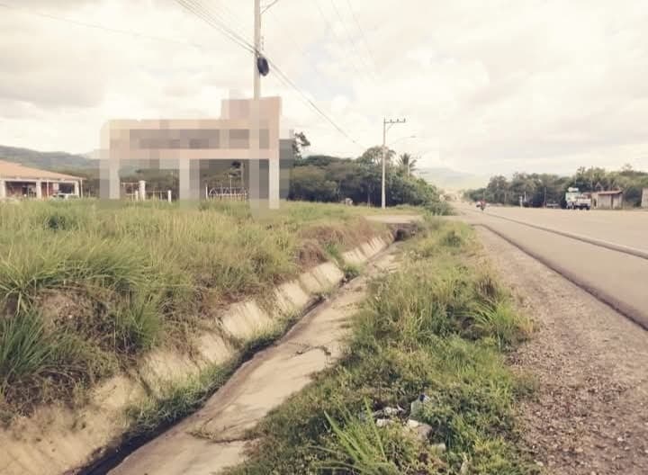 Imagen 1 de la propiedad c36d5f5e-775a-49af-a5b5-ac320fd16929